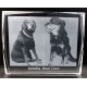 FRA0150 - 2D - Photo Frame - 150 x 120 x 30mm